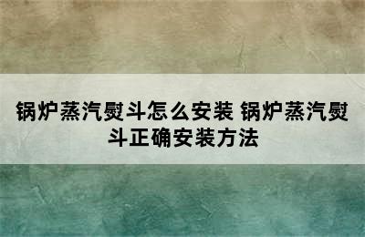 锅炉蒸汽熨斗怎么安装 锅炉蒸汽熨斗正确安装方法